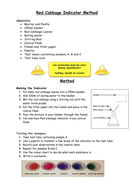 red cabbage indicator experiment risk assessment