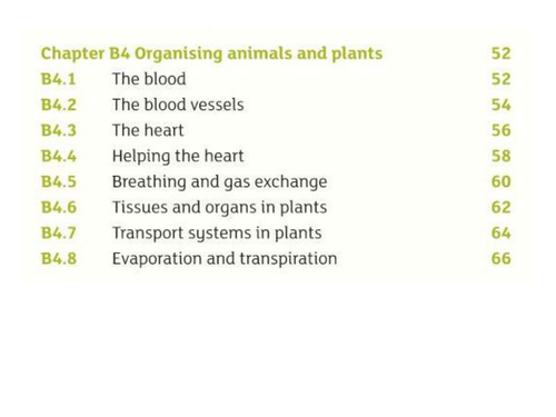 B4.1 - The Blood | Teaching Resources