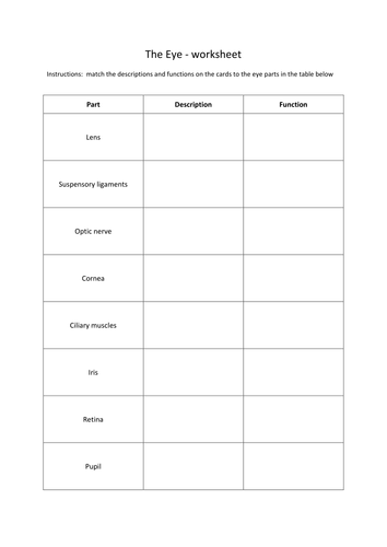 the eye learning how the eye works via card sort worksheet topic