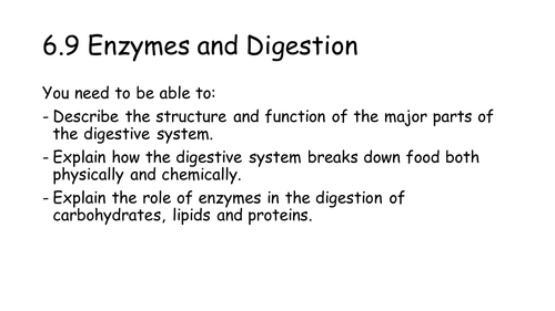 NEW AQA AS Biology 6.9 Enzymes and Digestion