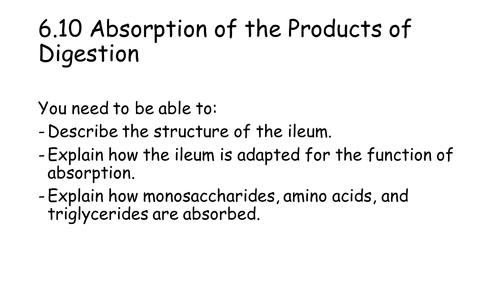 NEW AQA AS Biology 6.10 Absorption of the products of digestion