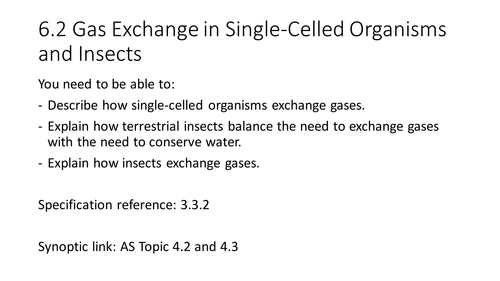 NEW AQA AS Biology 6.2 Gas Exchange in single celled organism and insects