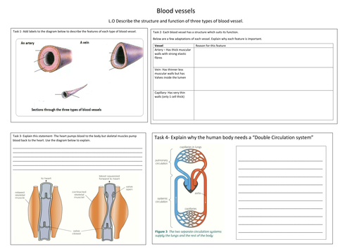 AQA NEW GCSE Biology A3 lesson Maps- revision resources | Teaching ...