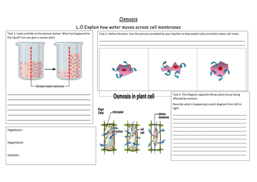 AQA NEW GCSE Biology A3 lesson Maps- revision resources | Teaching ...