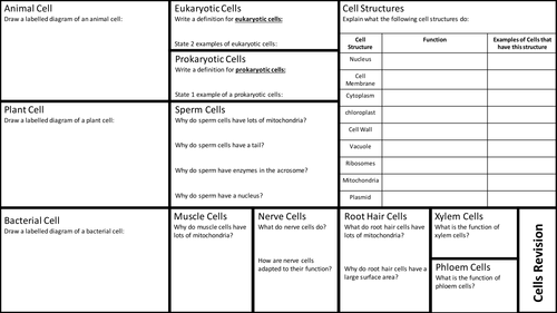 AQA GCSE Cell Structure and Transport in Cells Revision Mats ...