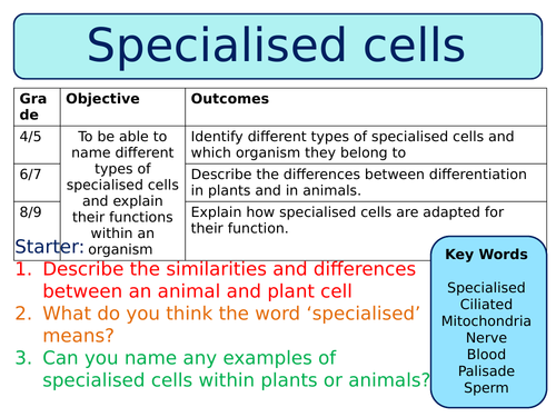 NEW Trilogy AQA GCSE (2016) Biology - Specialised Cells Lesson