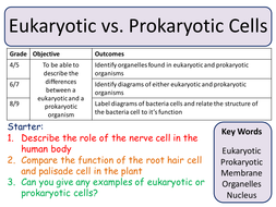 NEW Trilogy AQA GCSE (2016) Biology - Eukaryotic & Prokaryotic cells by ...