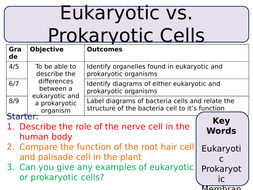 New Trilogy Aqa Gcse (2016) Biology - Eukaryotic & Prokaryotic Cells 