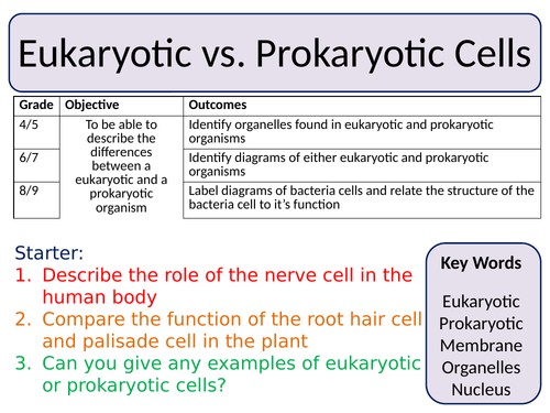 NEW Trilogy AQA GCSE (2016) Biology - Eukaryotic & Prokaryotic cells