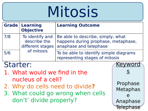 NEW AQA Trilogy GCSE (2016) Biology - Mitosis