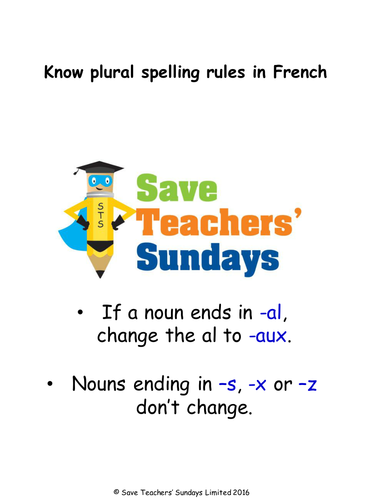 Singular / Plural & Masculine / Feminine French Lesson Plan, PowerPoint ...