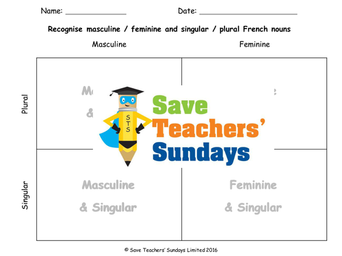 Singular / Plural & Masculine / Feminine French Lesson Plan, PowerPoint, Worksheet & Extension