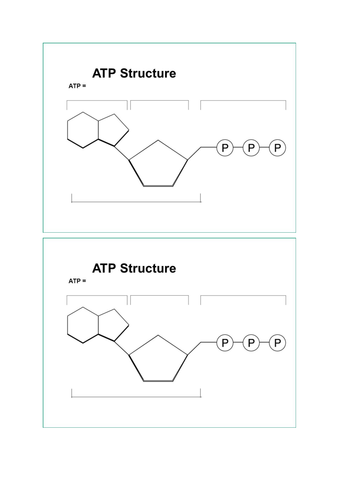 AQA AS Level Biology Section 1: ATP