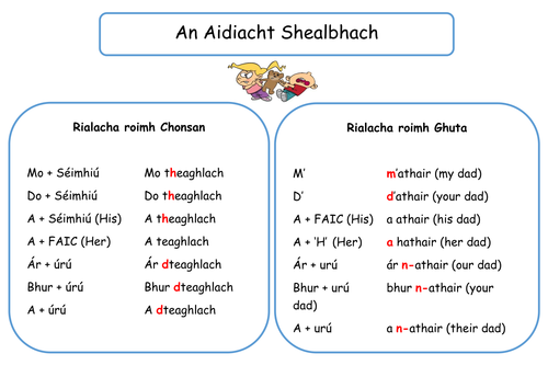 An Aidiacht Shealbhach Revision Mat