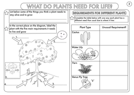 year 3 science plants topic worksheets by beckystoke teaching