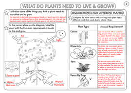year 3 science plants topic worksheets by beckystoke