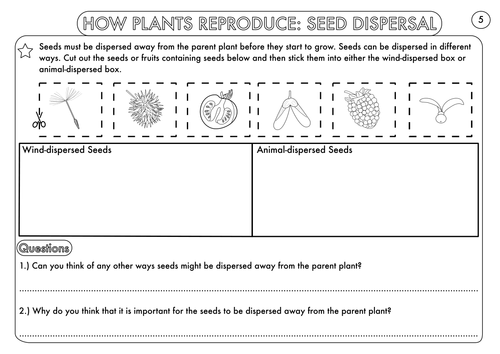 year 3 science plants topic worksheets teaching resources