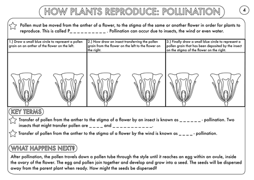 year 3 science plants topic worksheets teaching resources