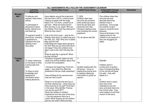 Year 2 Mog and the VET planning