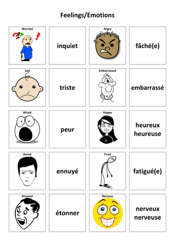 Feelings/Emotions: French Vocabulary Card Sort | Teaching Resources