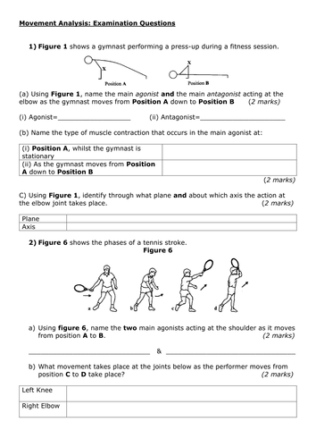 movement analysis gcse pe coursework netball