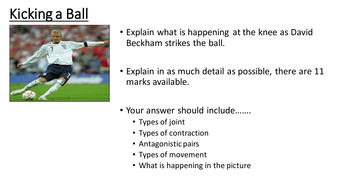 Movement analysis gcse pe coursework football image
