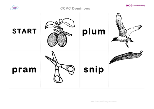 CCVC Teaching Activity & Worksheets