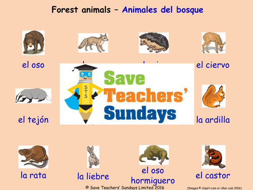 Forest Animals in Spanish Worksheets, Games, Activities and Flash Cards (with audio)