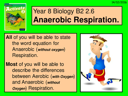 A multimedia version of the Year 8 Biology B2 2.6 "Anaerobic ...