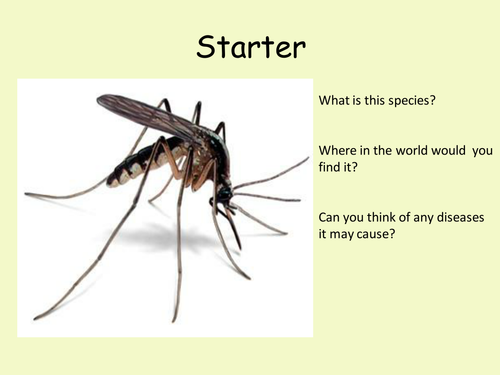Forget Everything You Know About Malaria This Changes It All Goats And Soda - 1scrjej