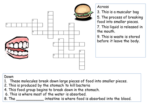B2 1 Health And Lifestyle Lesson 5 Enzymes Teaching Resources