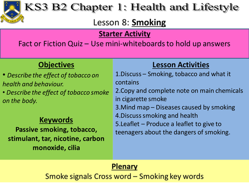 B2.1 Heath and Lifestyle - Lesson 8 - Smoking | Teaching Resources