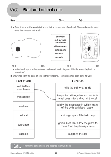 Life Processes and Cells | Teaching Resources