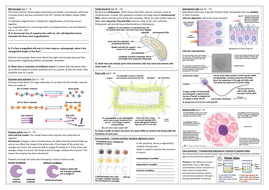 Edexcel 9-1 GCSE Revision Mat CB1 Biology by tlandsberg | Teaching ...