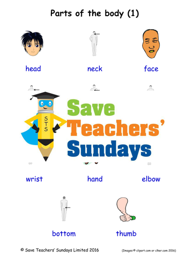Parts of the Body EAL/ESL Worksheets, Games, Activities and Flash Cards ...