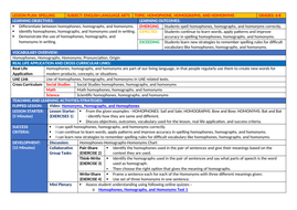 homophones homographs homonyms lesson resources and exercises