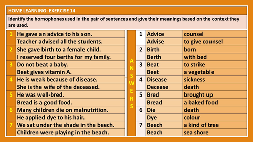 homophones homographs homonyms unit lesson plan teaching resources