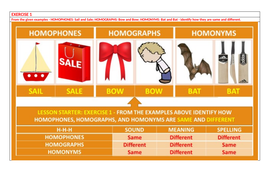 HOMOPHONES HOMOGRAPHS HOMONYMS WORKSHEETS WITH ANSWERS | Teaching Resources