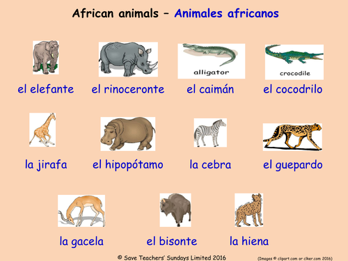 Animals in Spanish Posters (15 Spanish animals posters) | Teaching