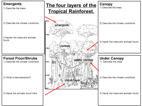 Entire scheme of work for new AQA GCSE geography Ecosystems | Teaching ...