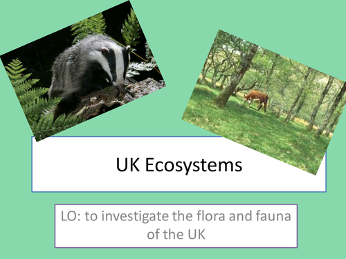 Entire scheme of work for new AQA GCSE geography Ecosystems | Teaching ...