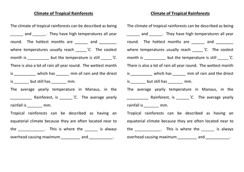 What is the climate like in a tropical rainforest?