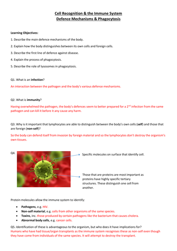 AQA A Level Biology Defence Mechanisms & Phagocytosis Worksheet ...