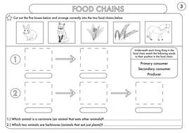 year 4 science animals including humans digestion