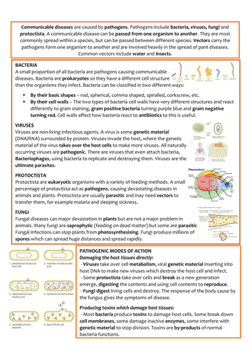 Biology AS/A2 OCR Revision Notes - Communicable Diseases