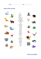 Wild Animals match | Teaching Resources