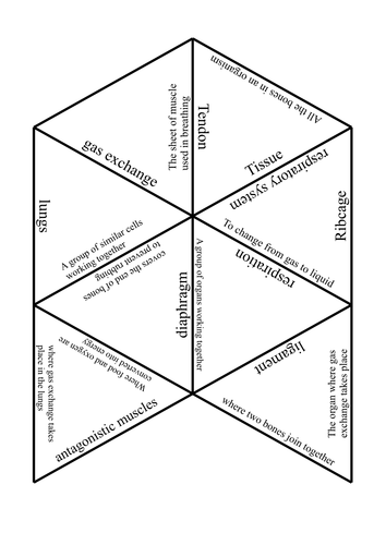 Activate Year 7 Biology - B1.2 Structure and Function of Body Systems ...