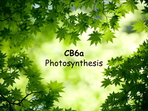 Edexcel CB6a Photosynthesis