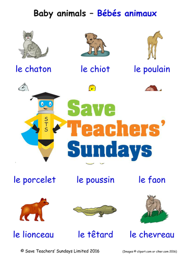 Baby Animals in French Worksheets, Games, Activities and Flash Cards (with audio)