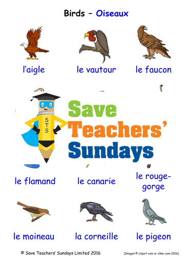 Birds in French Worksheets, Games, Activities and Flash Cards (with audio)
